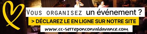 Formulaire en ligne