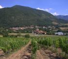 Valserres et ses vignobles - Valserres et ses vignobles