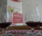 Dégustation de trois vins locaux - Dégustation de trois vins locaux