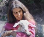 Le Mohair en arc-en-ciel - Le Mohair en arc-en-ciel