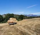 Ferme Ollivier - Ferme Ollivier