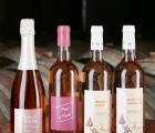 Domaine Allemand - Domaine Allemand