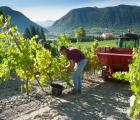 Domaine Allemand - Domaine Allemand