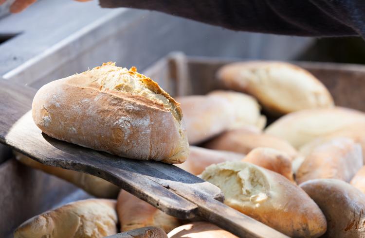 Fête des Césaris, la Bâtie-Neuve - Fête des Césaris, la Bâtie-Neuve