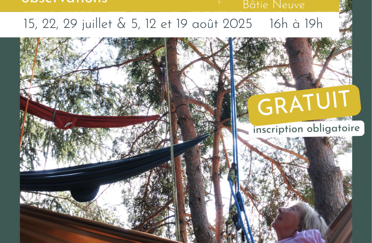 Tree climbing_La Bâtie-Neuve
