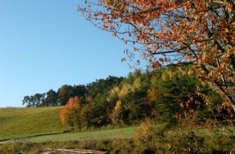 Paysage