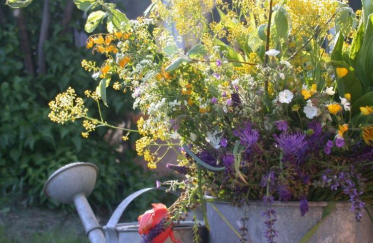 Jardin
