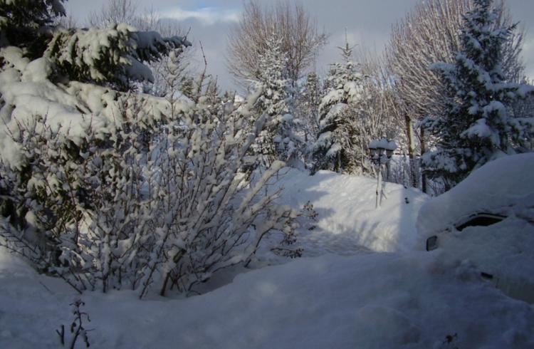 Jardin en hiver