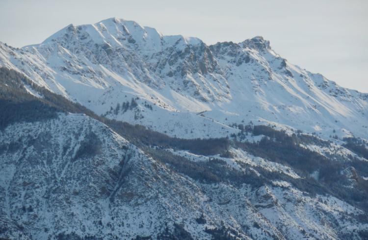 Paysage