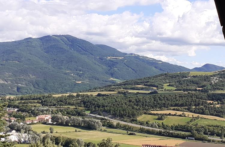Le Cèdre vue - Le Cèdre vue