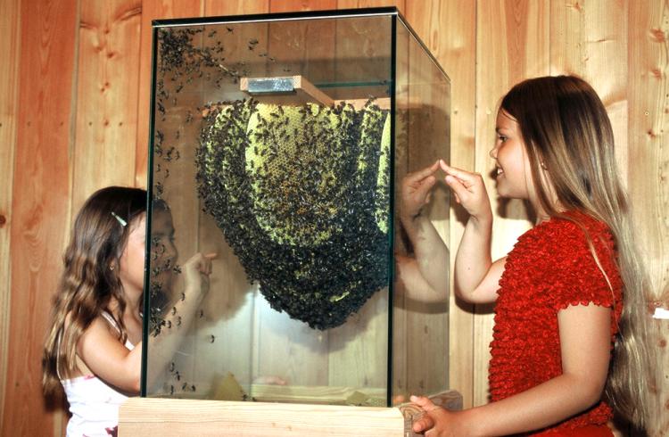 nos vivariums  - 