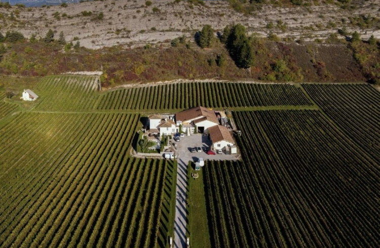 Domaine de Tresbaudon - 