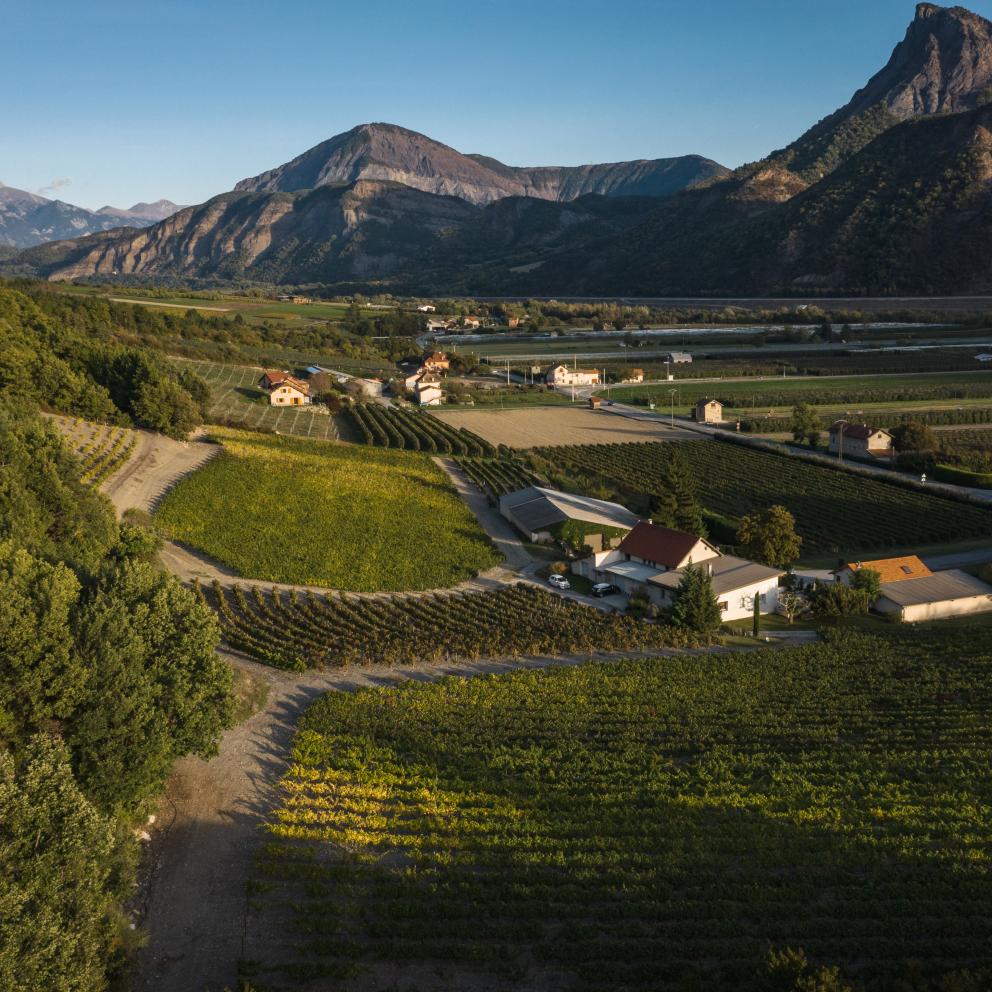 Vallée