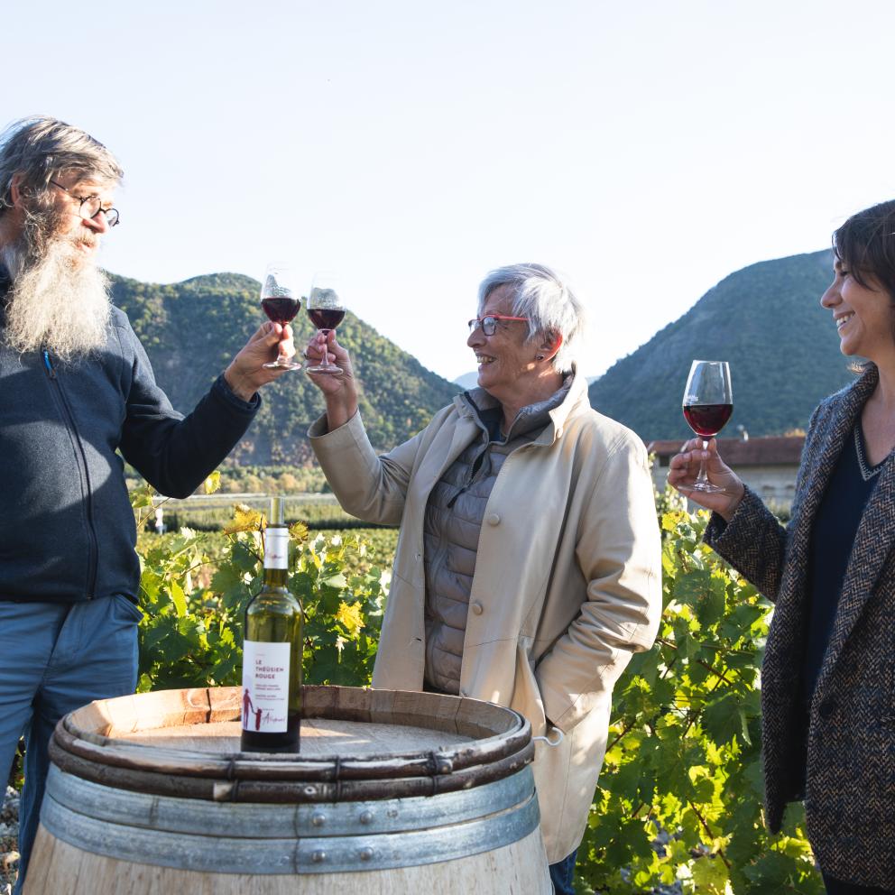 Vin des Hautes Alpes