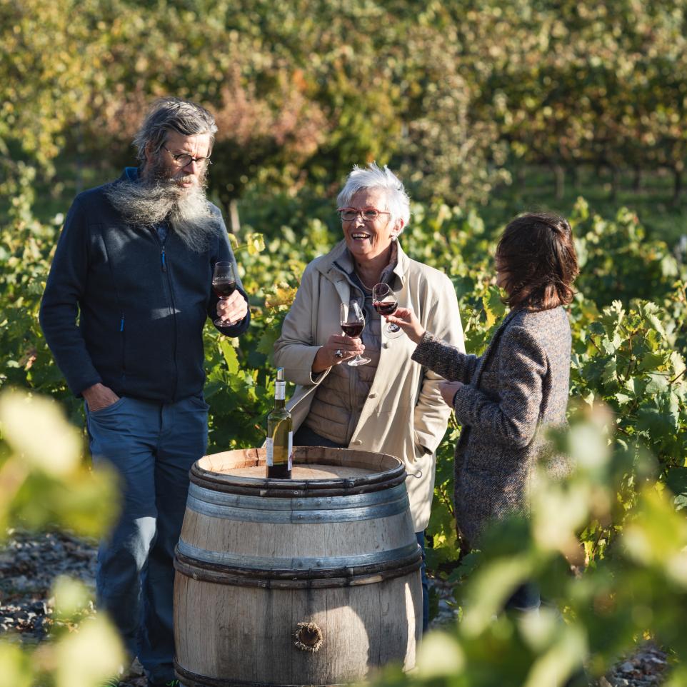 Vignobles