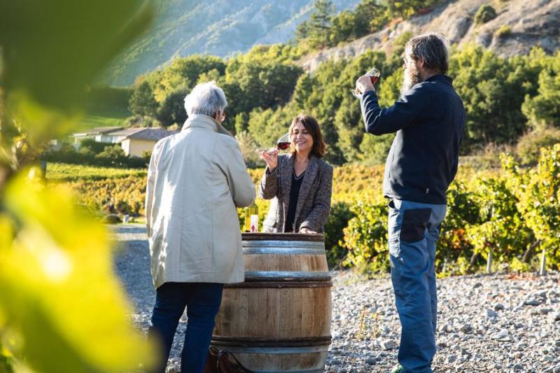 Cours d'œnologie - Niveau I_Théus