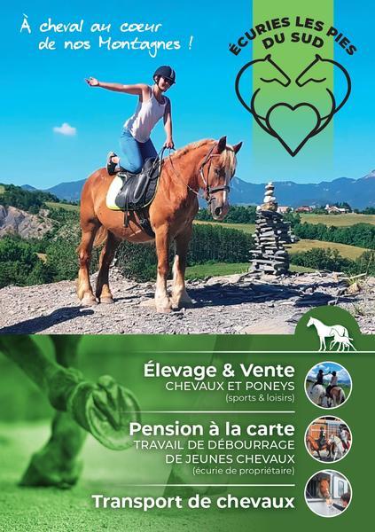 Flyer Pies du sud - Flyer Pies du sud