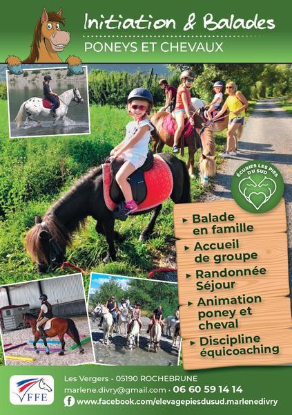 Flyer Pies du sud - Flyer Pies du sud