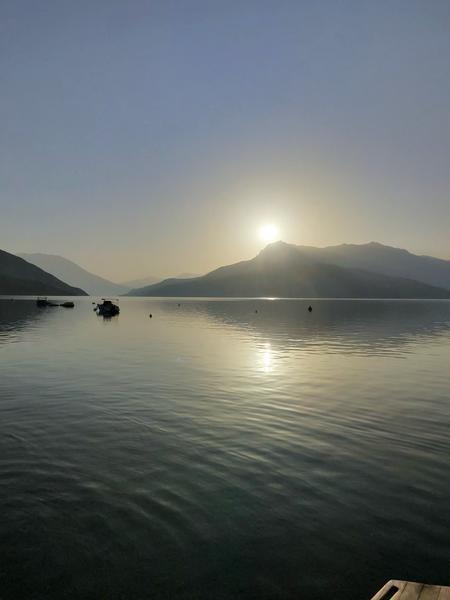 photo-975_singular_display_fullPicture.jpeg - 