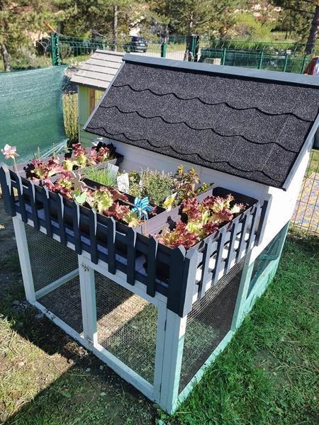 Crèche le Nid d'Avance_Montgardin
