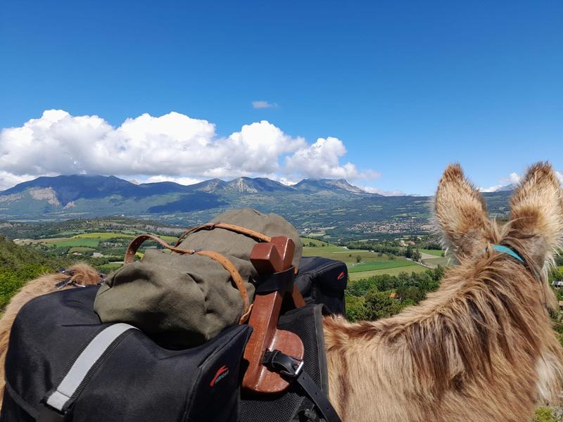 Vue sur Charance - 