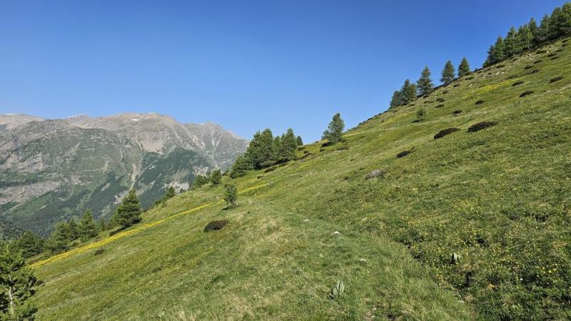 paysage de randonnée - 