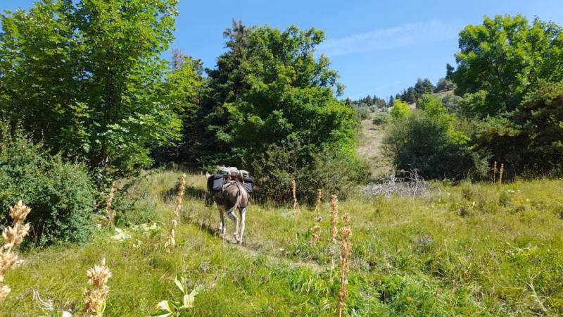 Randonnée bivouac - 