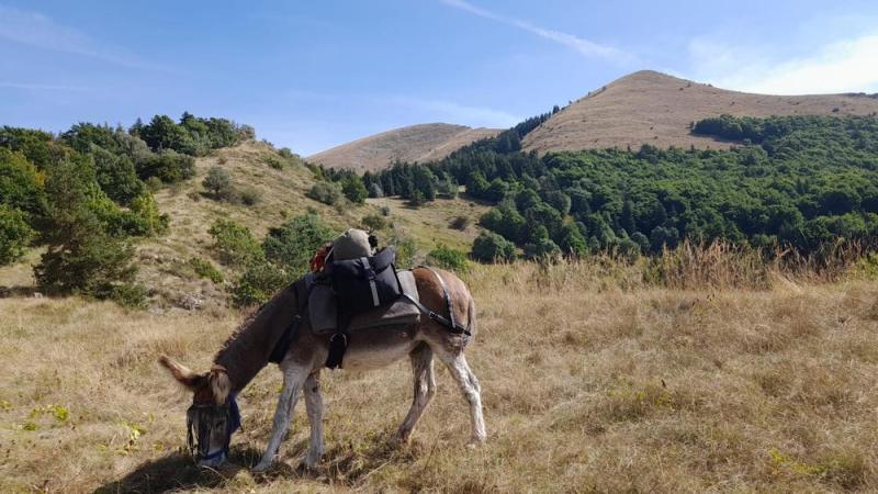 Randonnée bivouac - 