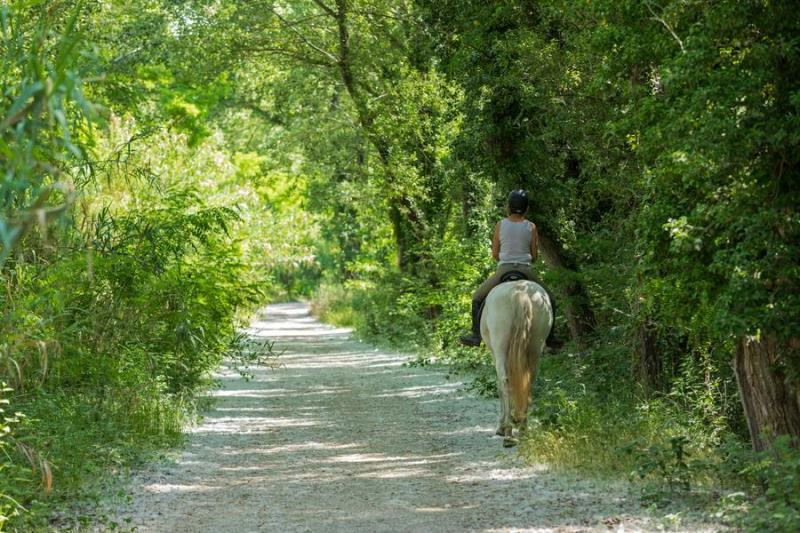 Tronçon Mallemort - La Roque d'Anthéron _Mallemort