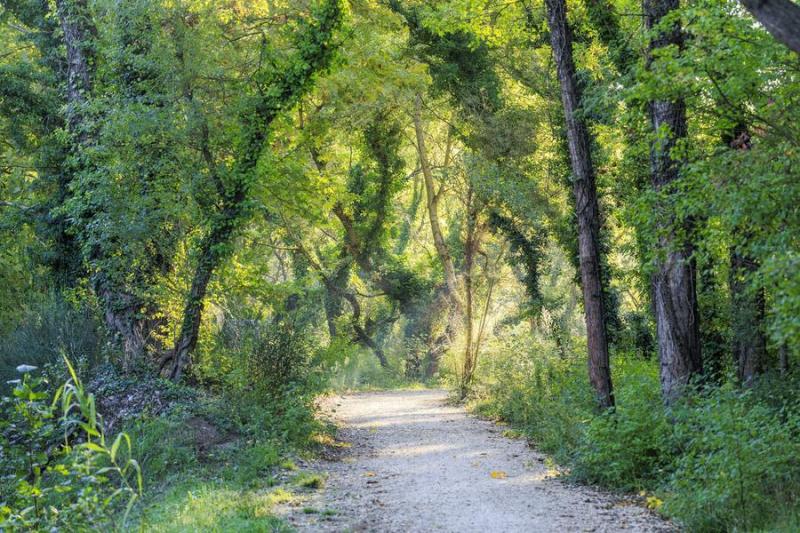 Tronçon Pertuis - Villelaure_Pertuis