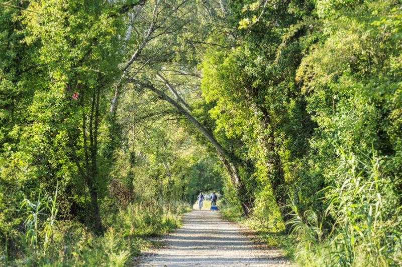 Tronçon Pertuis - Villelaure_Pertuis