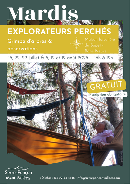 Explorateur perchés : grimpe d'arbres et observation_La Bâtie-Neuve