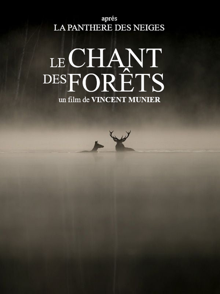 Projection Cinévadrouille film "Le Chant des Forêts"_Espinasses