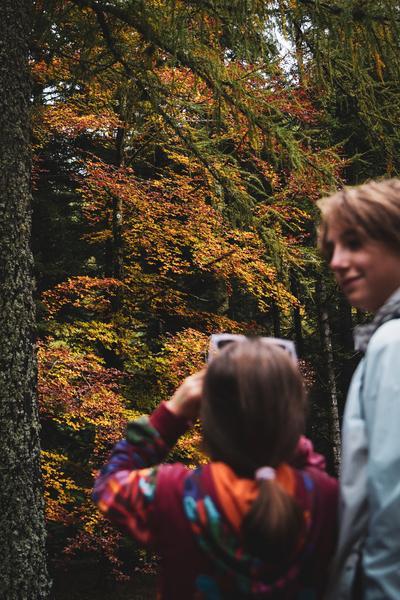 Escape Game en forêt du Sapet !_La Bâtie-Neuve