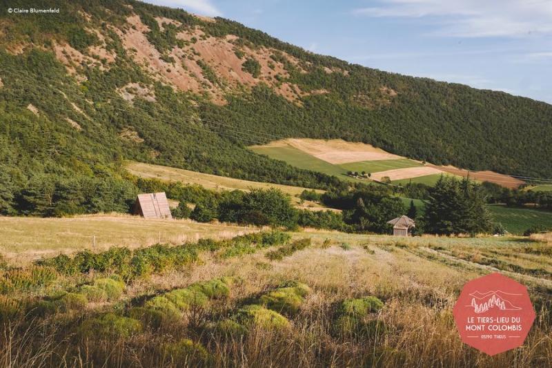 Rendez-vous en terres connues : Cueillette et distillation de roses._Théus