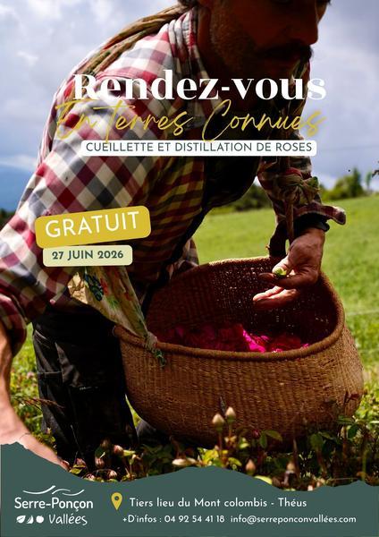 Rendez-vous en terres connues : Cueillette et distillation de roses._Théus