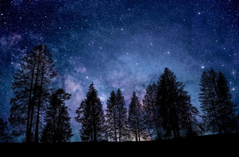 Rendez-vous de l'été : Une nuit dans la nature_La Bâtie-Neuve