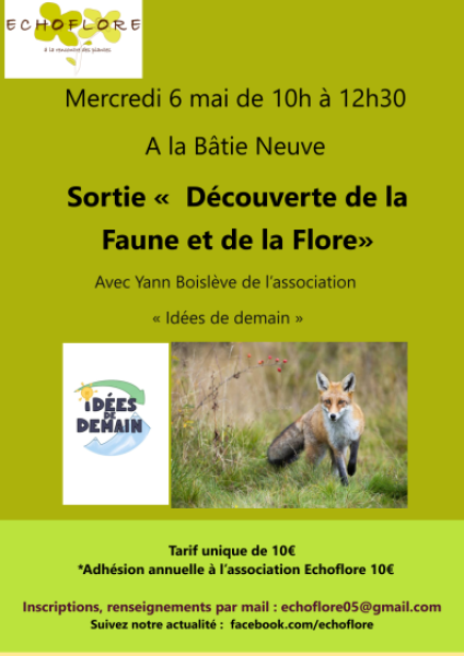 affiche-sortie-decouverte-faune-flore-6052026-1.png