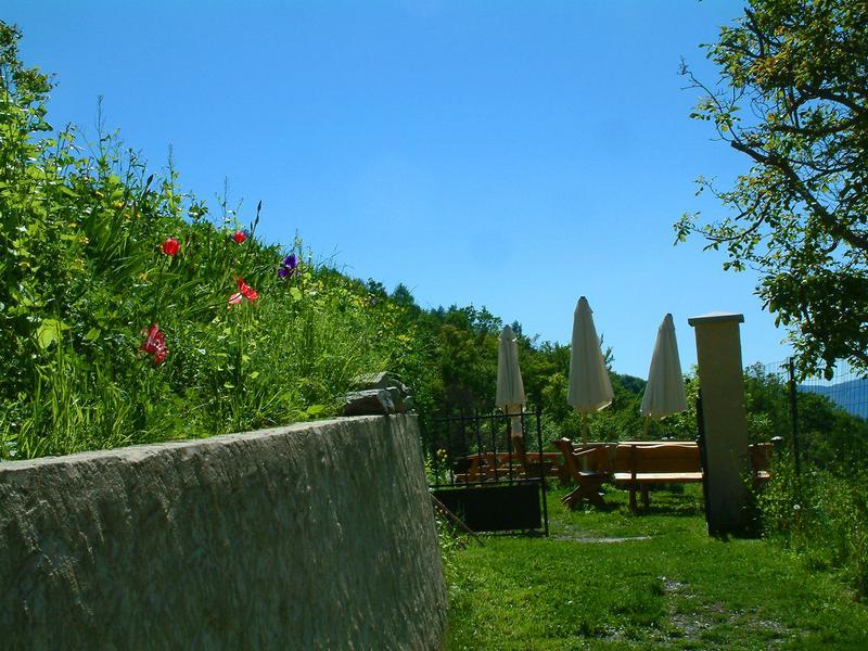 L'Asphodèle_Venterol