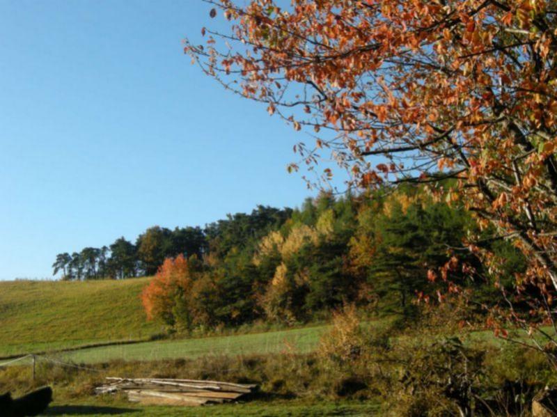 Paysage