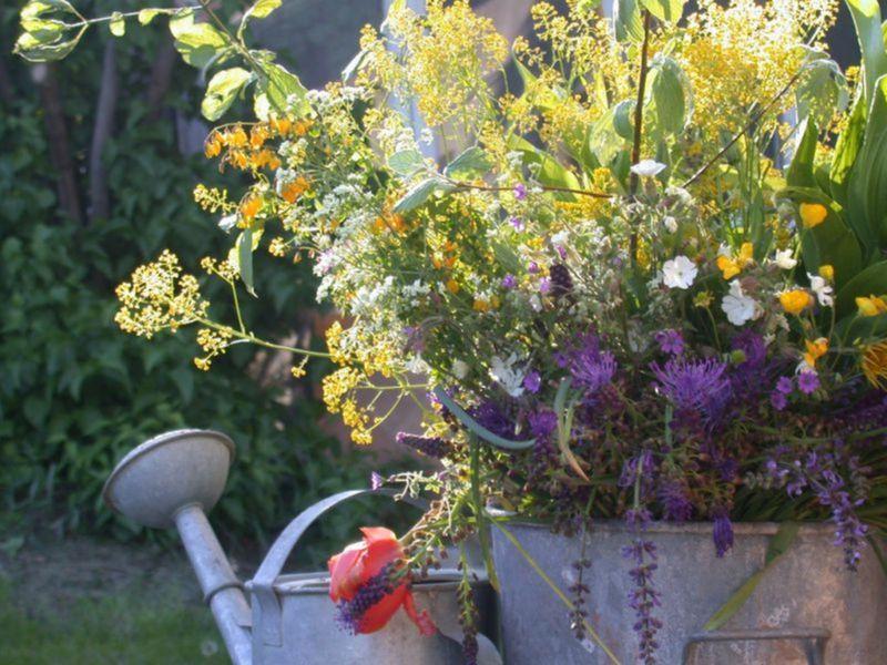 Jardin