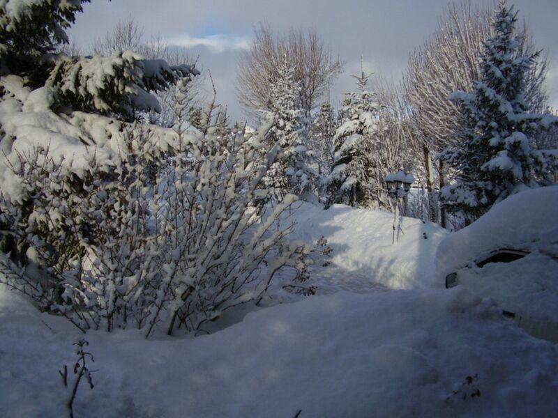 Jardin en hiver