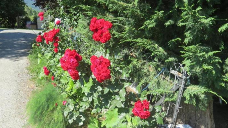 Camping La Tour EMBRUN - Camping La Tour EMBRUN