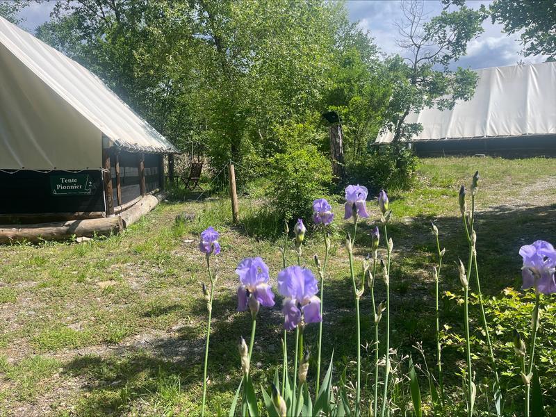 Camping les écolodges des 3 lacs : Hébergements insolites._Rochebrune