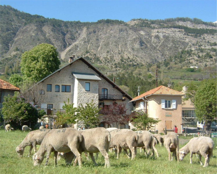 Paysage