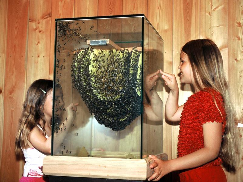 nos vivariums  - 