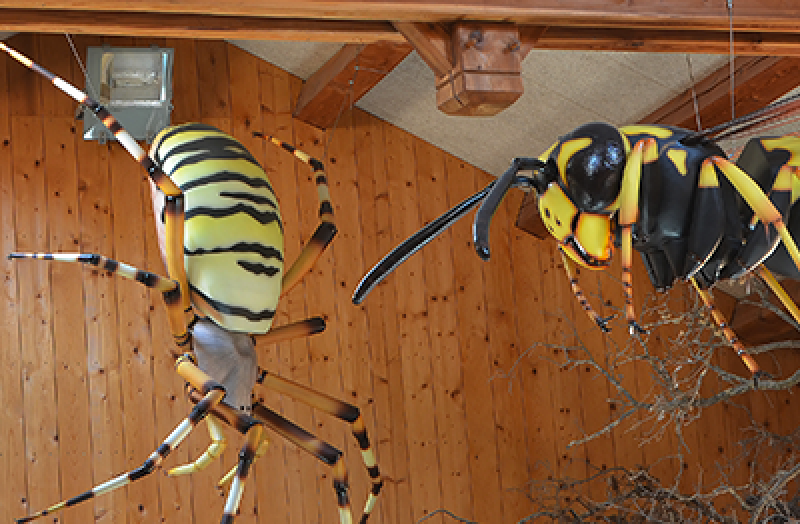 nos insectes géants  - 