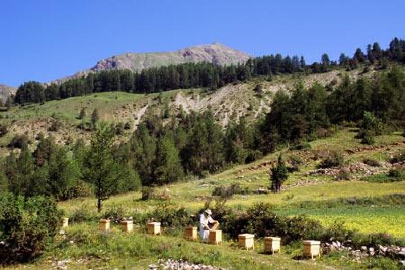 nos emplacements apicoles - 