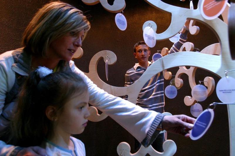 Maison de l’eau et des énergies de Serre-Ponçon - ROUSSET-SERRE-PONCON - Maison de l’eau et des énergies de Serre-Ponçon - ROUSSET-SERRE-PONCON