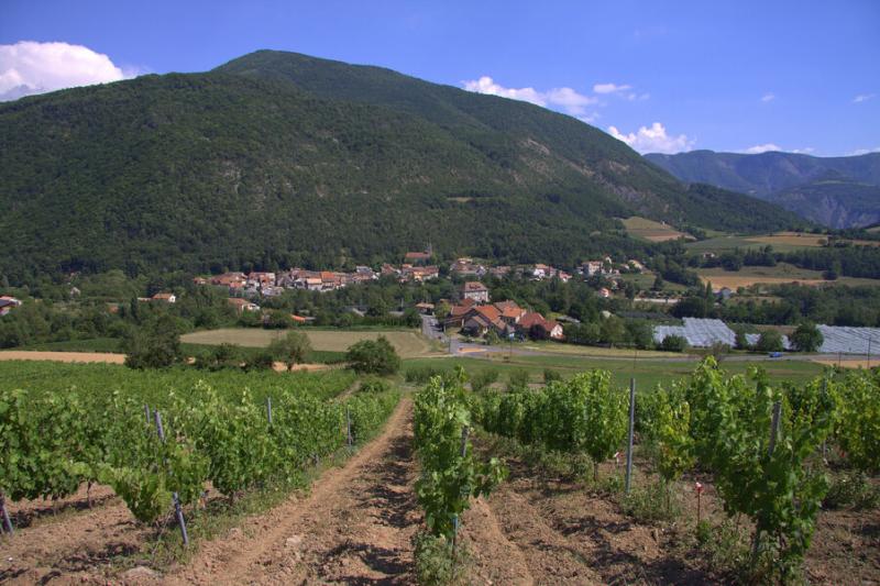 Valserres et ses vignobles - Valserres et ses vignobles
